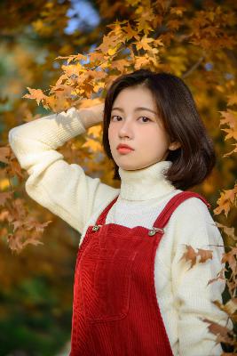 三年中文在线观看免费版